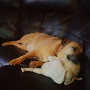 Meet your Posher, Robert